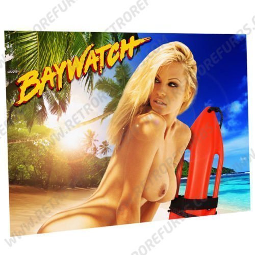 Baywatch Pam Alternate Pinball Translite Alternative Flipper Backglass