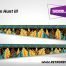 Amazon Hunt III Pinball Sideblades Inside Inner Art Decals Sideboard Art Pin Blades